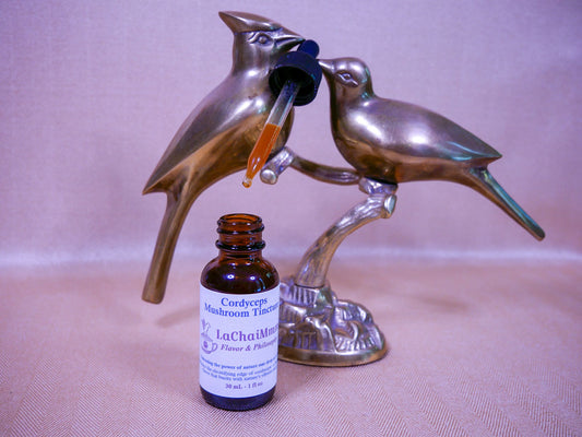 Cordyceps Mushroom Tincture