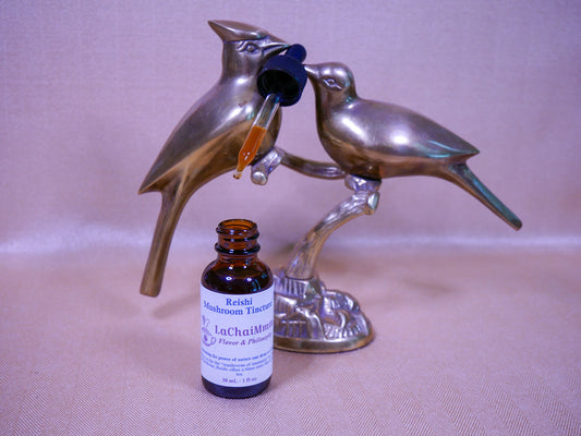 Reishi Mushroom Tincture