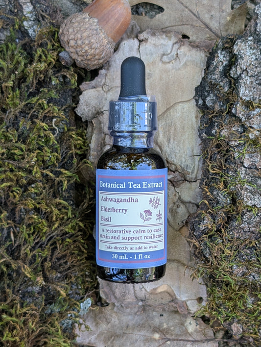 Ashwagandha, Elderberry, and Basil - Botanical Tea Extract