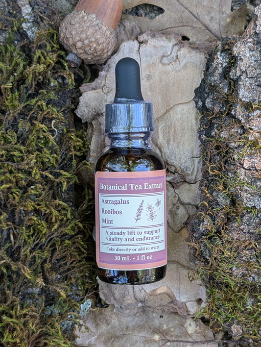 Astragalus, Rooibos, and Mint - Botanical Tea Extract