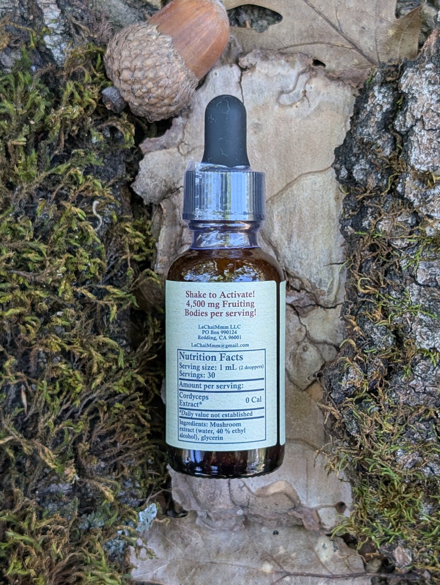 Cordyceps Mushroom Tincture