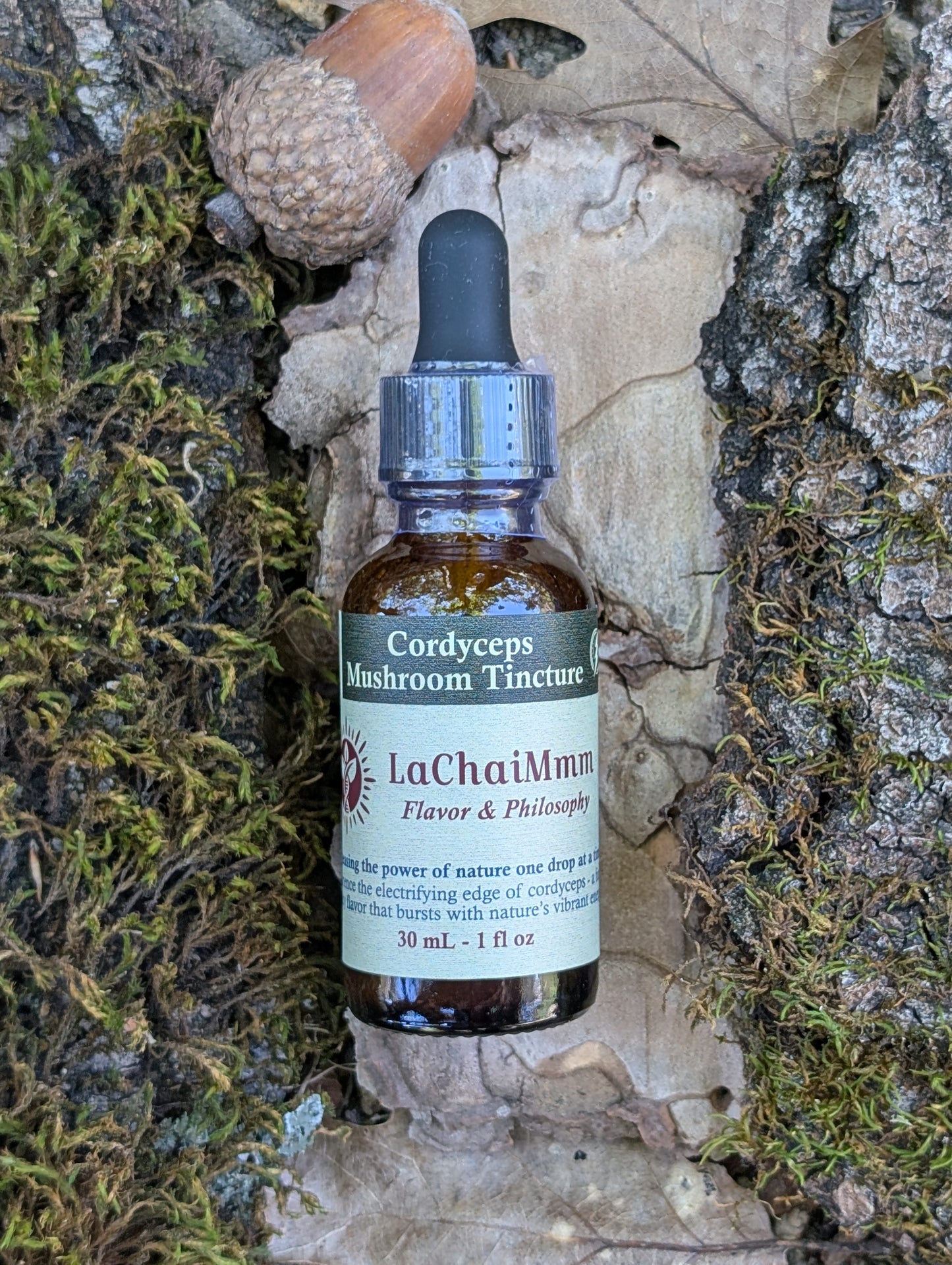 Cordyceps Mushroom Tincture