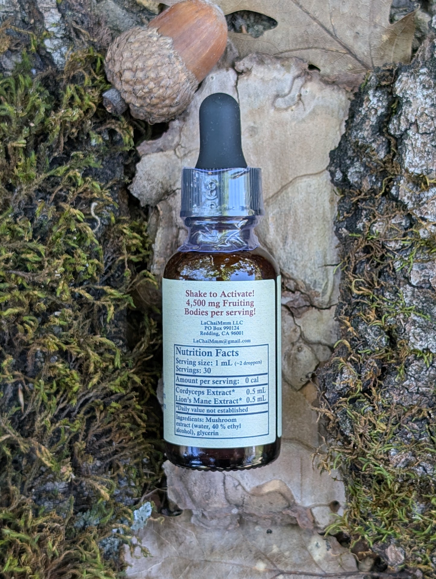 Lion's Mane and Cordyceps Tincture