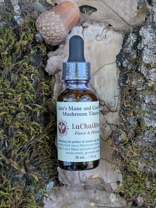 Lion's Mane and Cordyceps Tincture