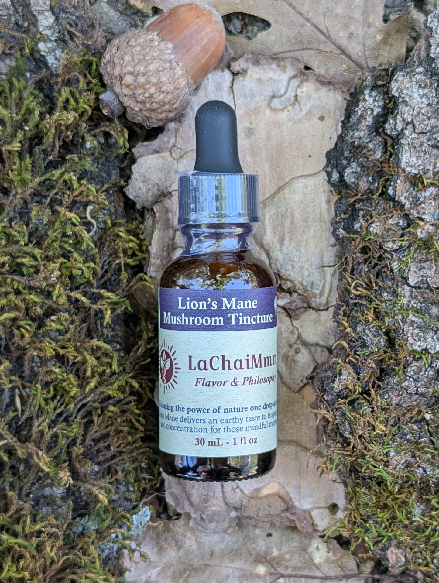 Lion's Mane Mushroom Tincture