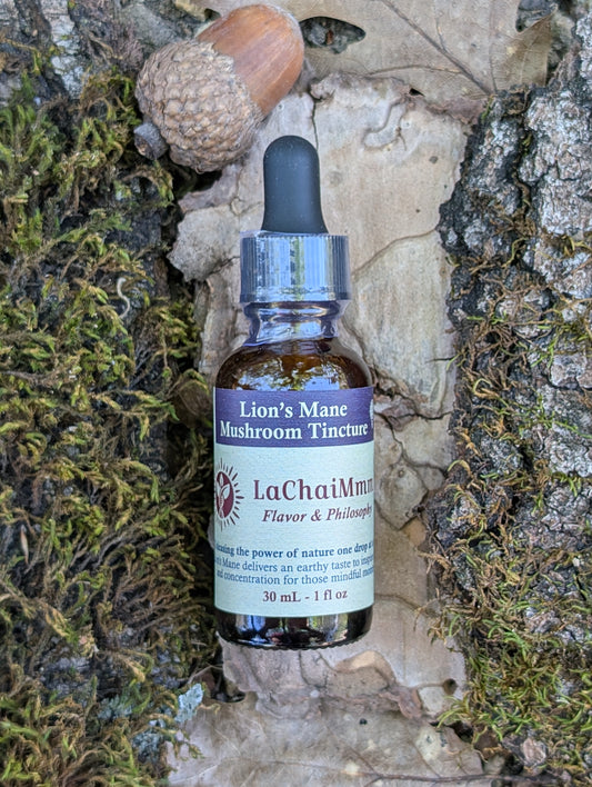 Lion's Mane Mushroom Tincture