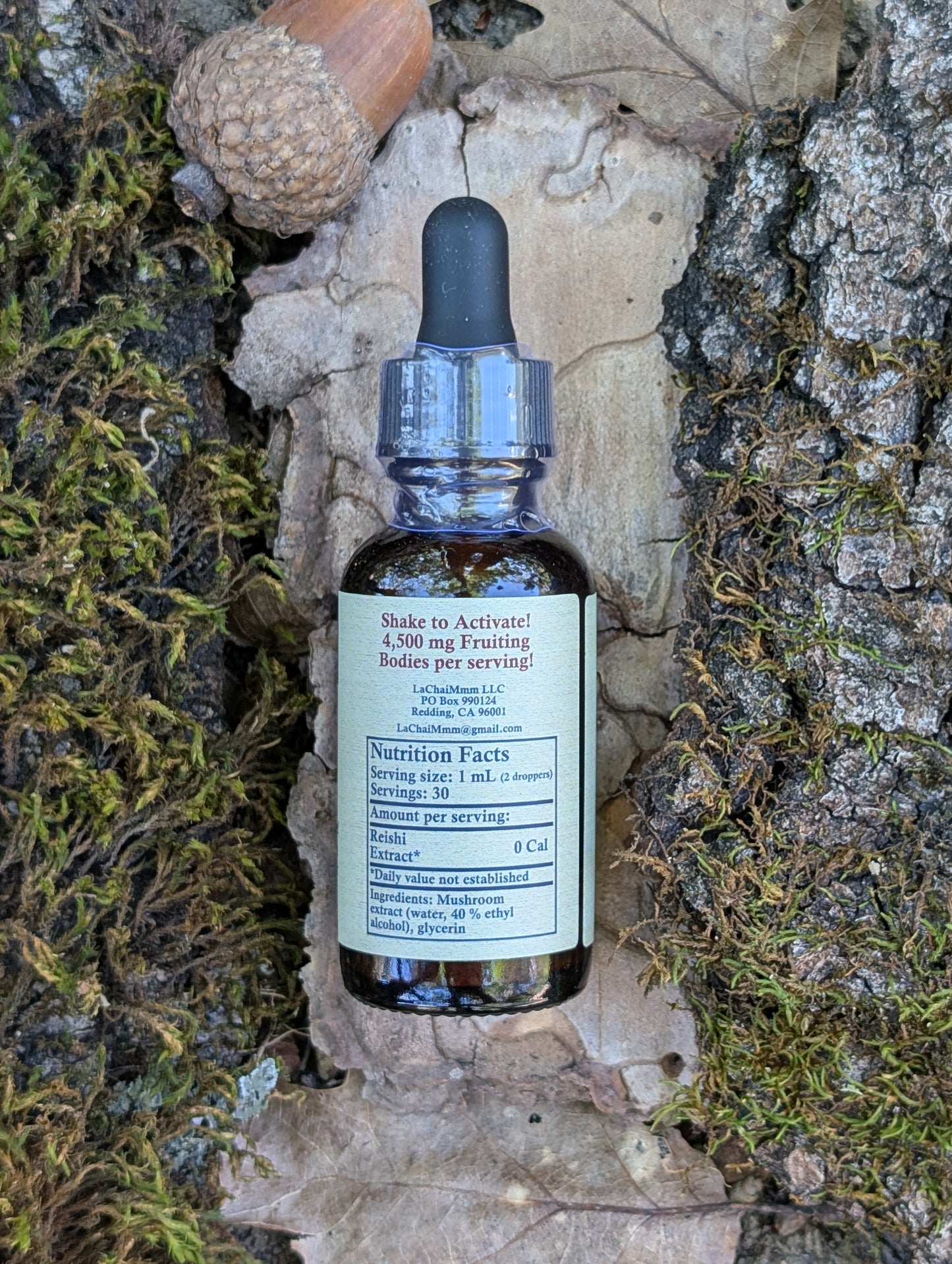Reishi Mushroom Tincture