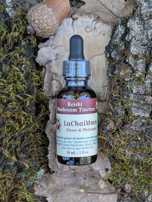 Reishi Mushroom Tincture
