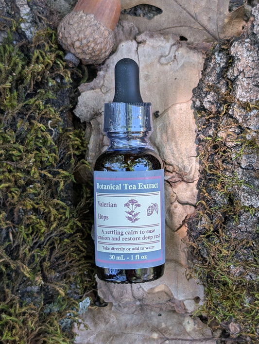 Valerian and Hops - Botanical Tea Extract